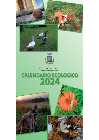 Calendario ecologico 2024